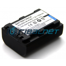  Bateria Sony DCR-SX30E